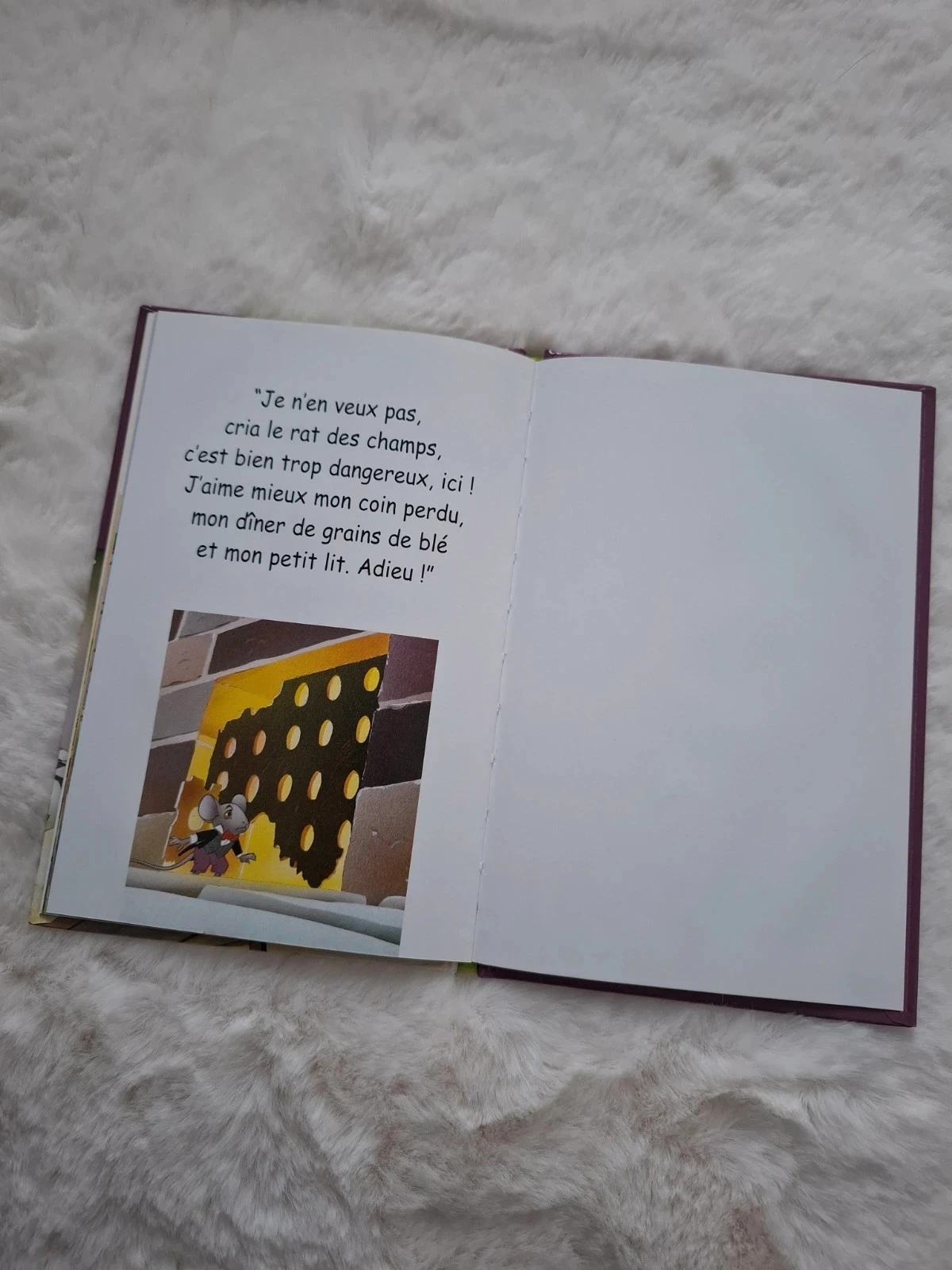 📚 book first reading rats of the city and rats of the country level 3 Van gool – photo 13
